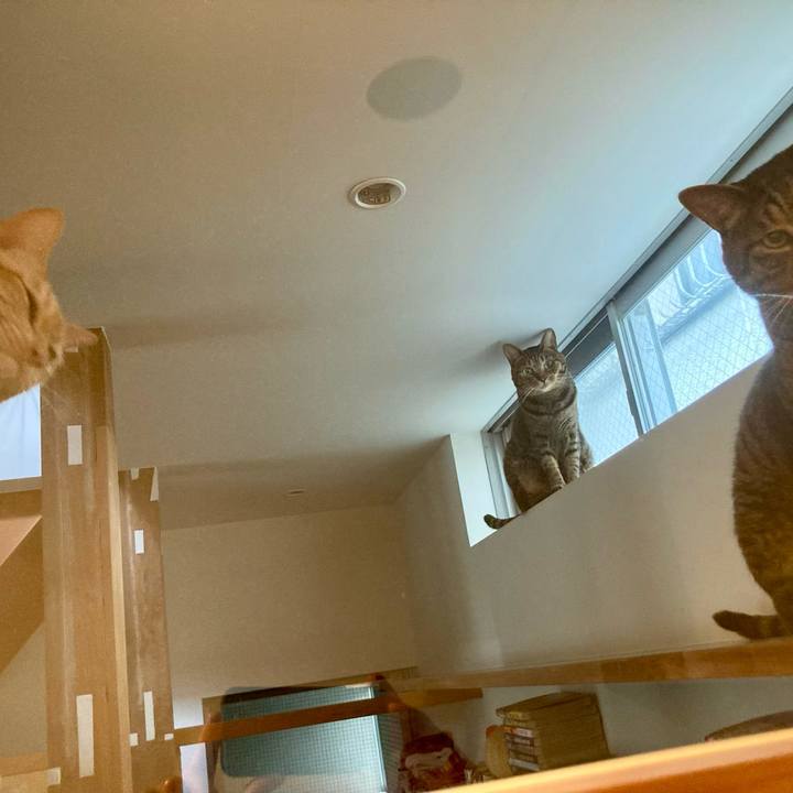 B5848c12 b4e6 4322 b180 3b652e0a0529 1754824648808