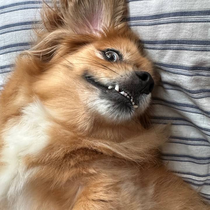 B5849ecf 333a 4763 9d29 48c790ecc778 1720386493700