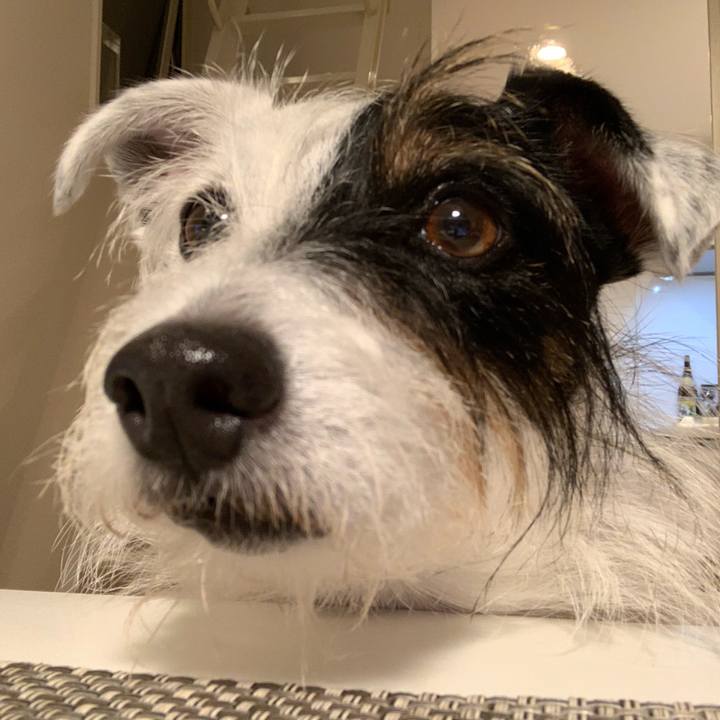 B584a5a3 fc70 455c 95a9 53c4d43c2a34 1634294565414