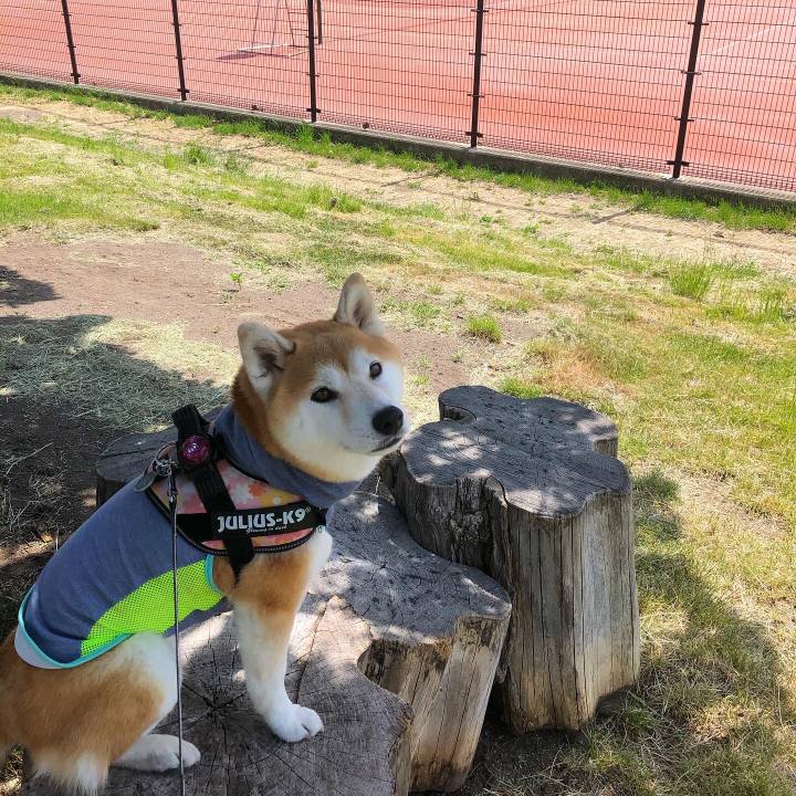 B584b9d8 e77d 44ac b6f9 eda24cee7115 1591238169595