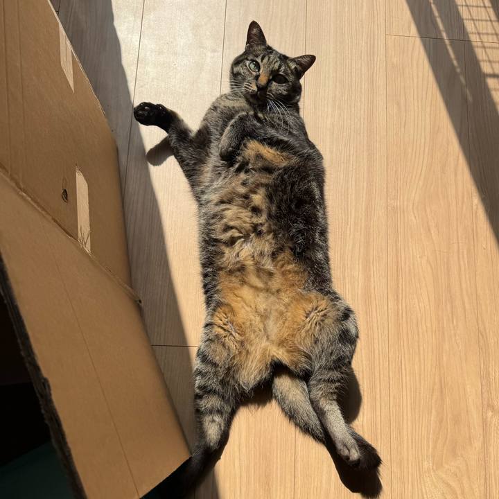 B584c1a6 84d9 4168 a980 9c763a8d22d8 1774759003925