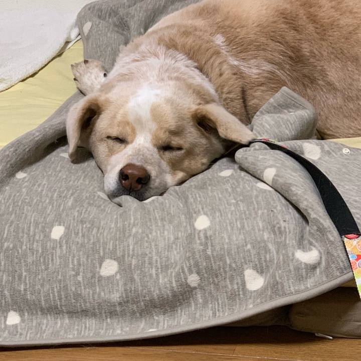 B584d166 decb 432c a3cc de079c70748a 1547306086391