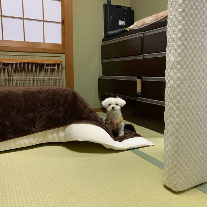 B5850157 b159 4cb7 a5b6 989b2d66ad60 1665303406617