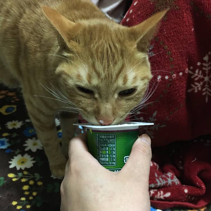 B5854493 cffc 424b b19a 9c511d9cc71d 1553264734349