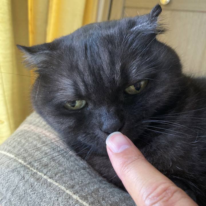 B585a6b2 0792 4b5c b244 6d2413a627a8 1590807876440