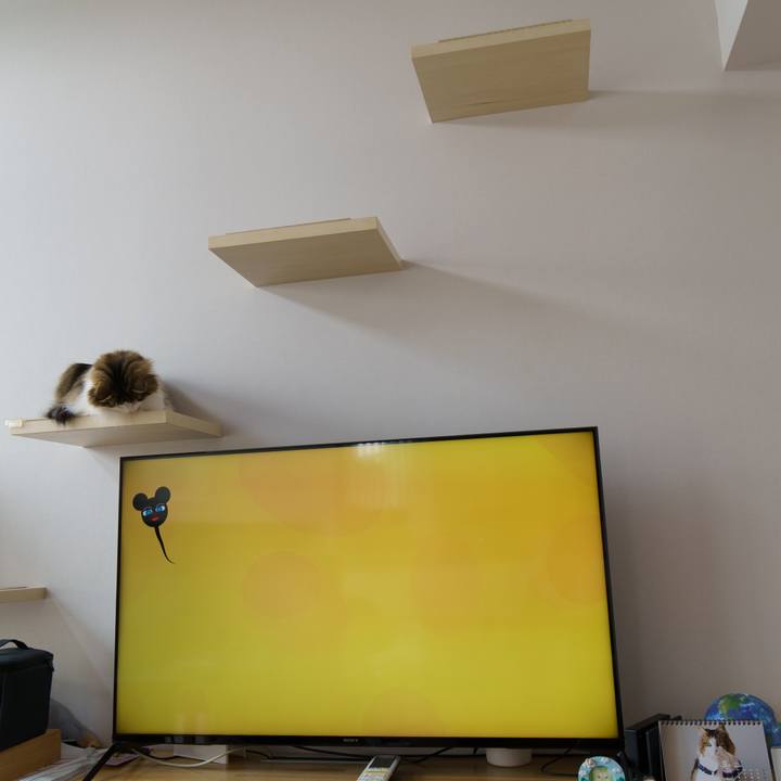 B585c369 60a9 4018 9225 9eecfcd179d6 1646889040578