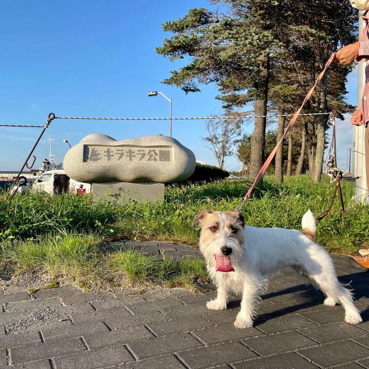 B585d8c3 0422 43c5 8984 feea0c71d8a9 1662901995634