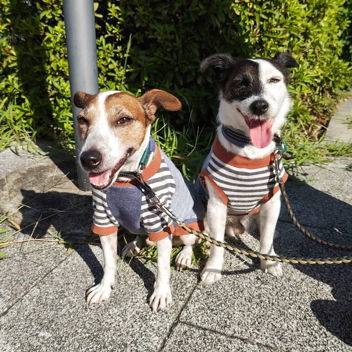 B585e810 7e6b 4f68 8104 0afe2c1469f1 1753051860260