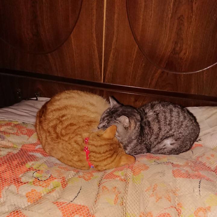 B586526a a4fc 43ae 8c3b f4cf0c73b457 1578324397208