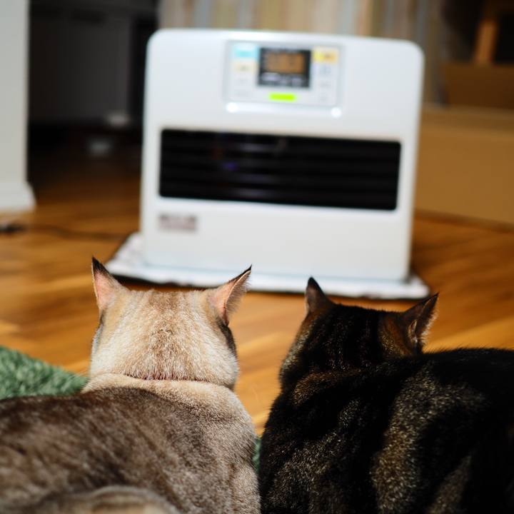 B586773c 8c0b 4faf 9b52 cd9d386988ae 1610192323543