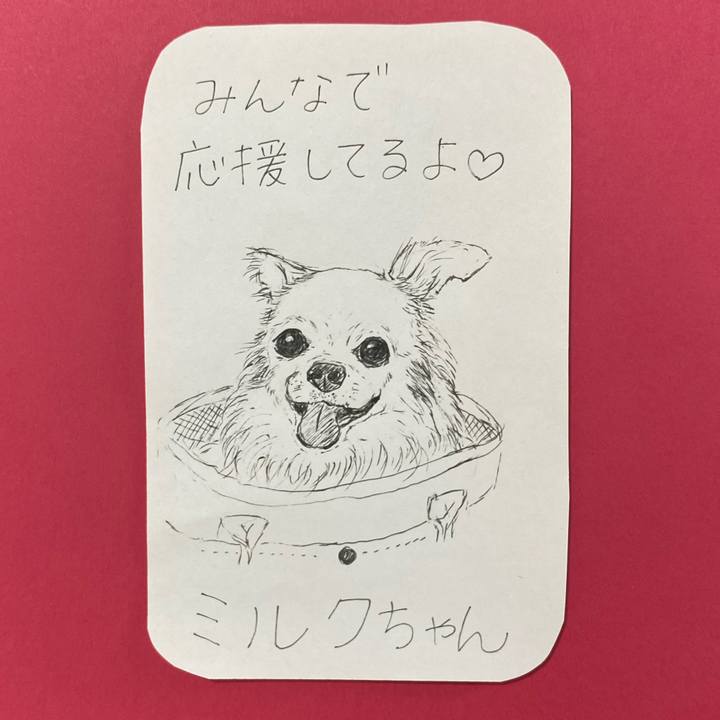 B58684e3 5a67 4ffd 8bbf e985292f64a3 1619481810199