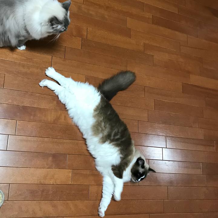 B5868518 44e4 4d3a a9cf a5f483da6c66 1513394838088