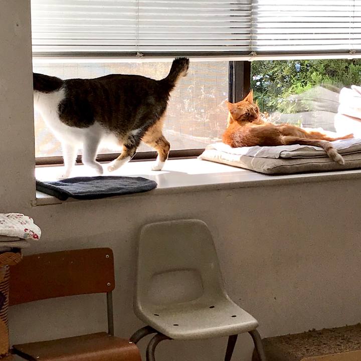 B586a088 0f02 4683 8017 f3cba36a7f3c 1550634921217