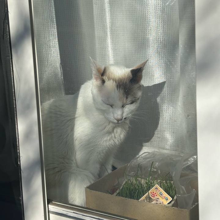 B586e17e 36fc 4787 b470 e0ef1fa0ec81 1768629433107