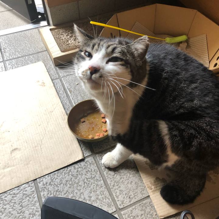 B586ebc6 f286 41b9 9225 eb0647049c67 1585455220146