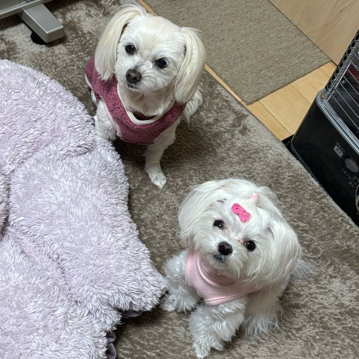 B58714f9 a821 476a b7b2 7e4dce1b7e25 1768468720050