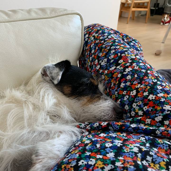 B58723eb d40b 4e3c 96b4 331bfe3de0e4 1597131355832