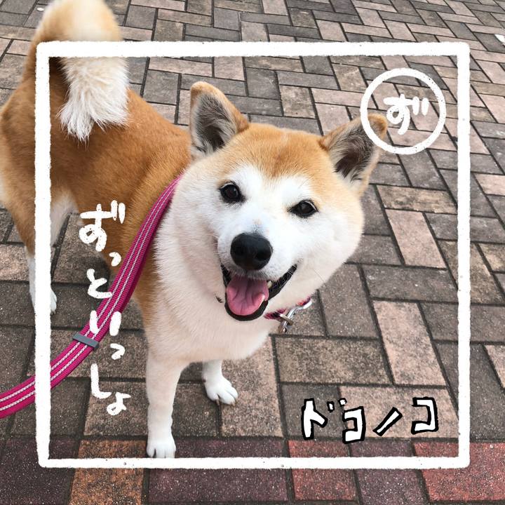 B5878410 d90d 46dc a147 001bb4f4320c 1685935672785