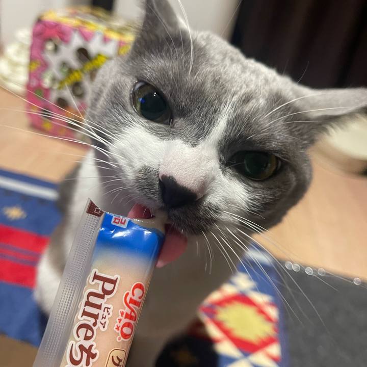 B587a4fb 366b 4272 8b41 7466dc586140 1669193980639