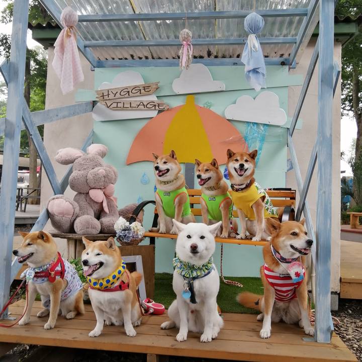 B587d258 ff18 4628 9d42 6694c9a828b4 1655568167434