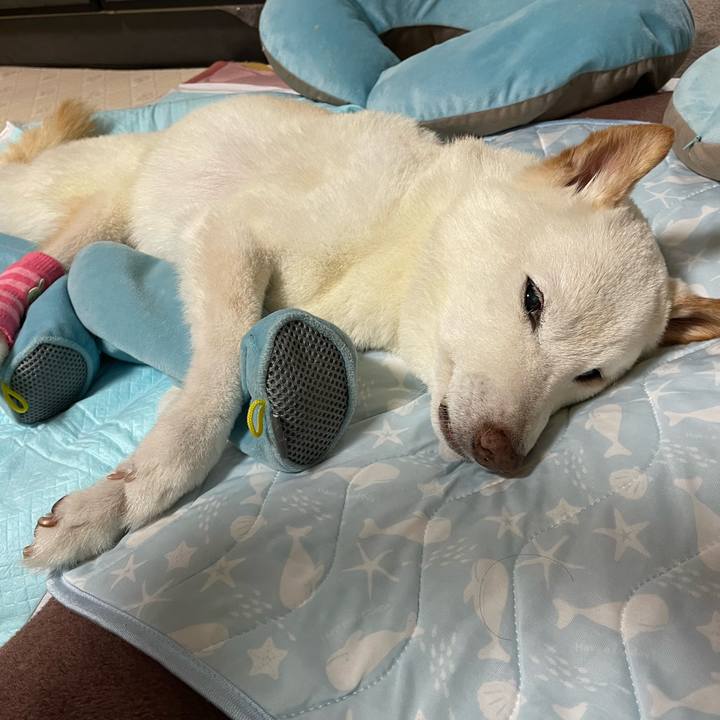 B587ffe8 03ab 49b5 bf16 a091a7d4a1c1 1662539969446