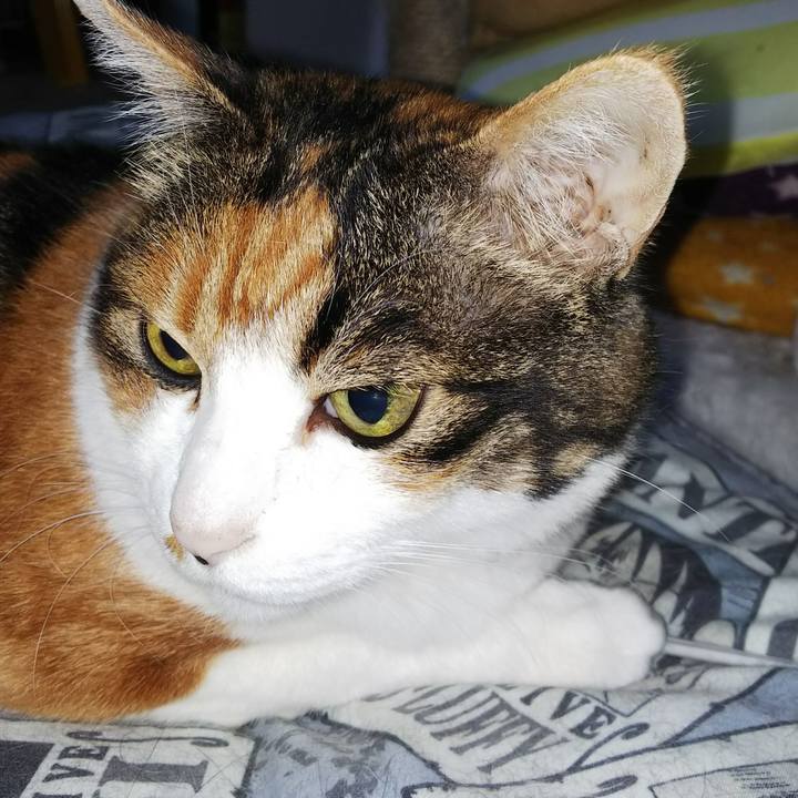 B588255d 15f4 4a3e bf50 fcc5354a670a 1533430296815