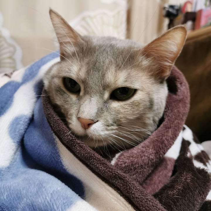 B588333e 64f8 45b5 9061 3d90380add8c 1676214415522