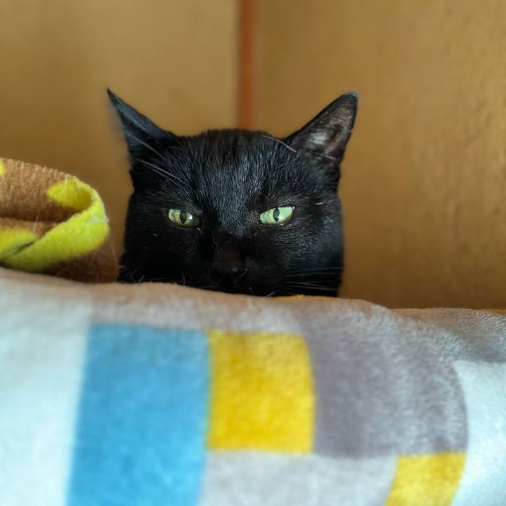 B5883bc6 0d4c 40d5 b6f8 b384e284585a 1698971222209