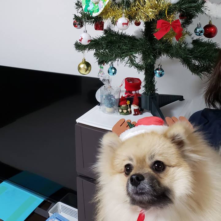 B5885b9b 3848 4dac 83c1 5360b1776536 1640398119421