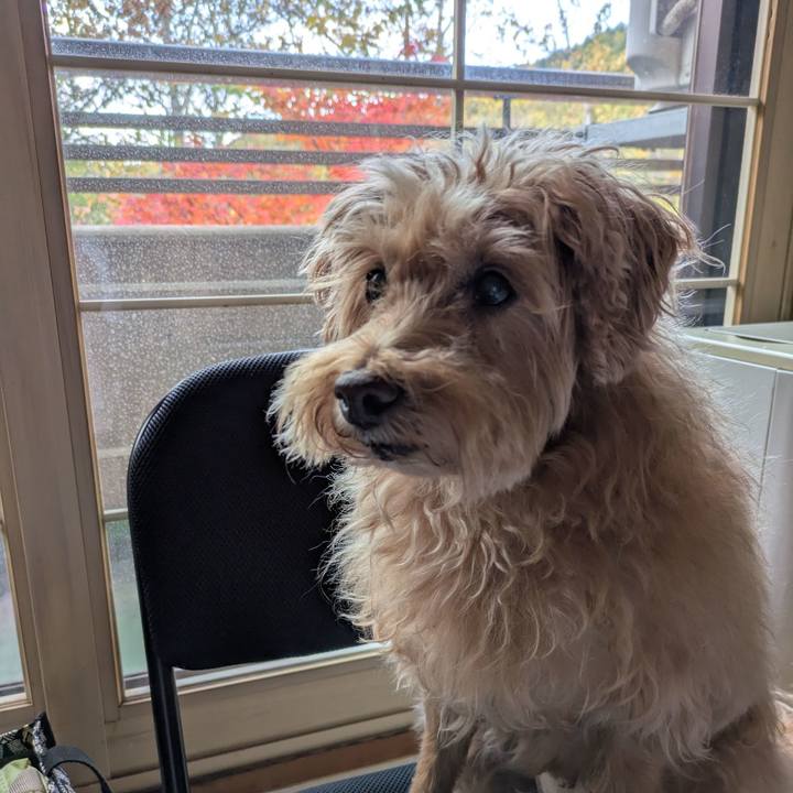 B5885ec6 2439 4c7f ab14 9bbc427728e7 1760962943869