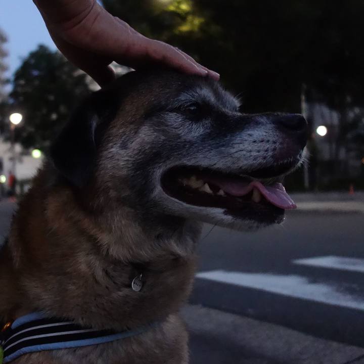 B58874b0 cac0 4d39 98df 004d388dd312 1532861715405