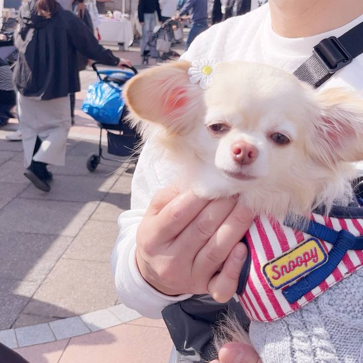 B588c973 b7c4 4364 8aab 5b22558ef04f 1739689559682