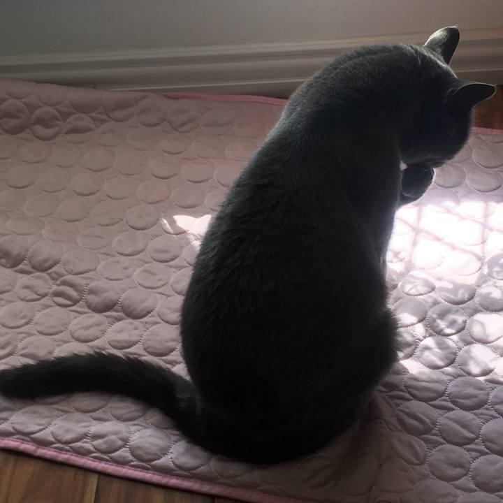 B588d167 0459 4c25 9624 043513d238ef 1663433308970