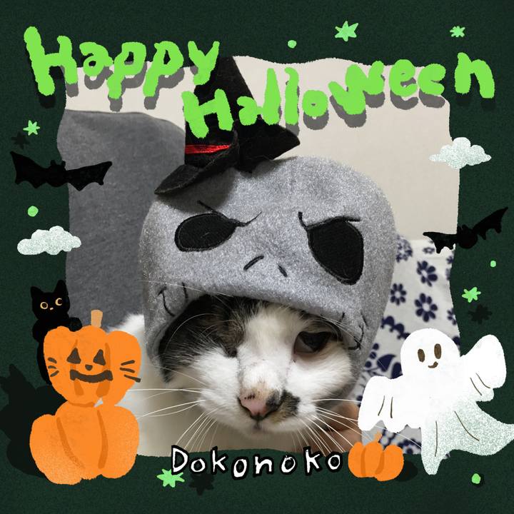 B588d6f8 4769 495d ae67 d9ad8d90cb1d 1730334946872