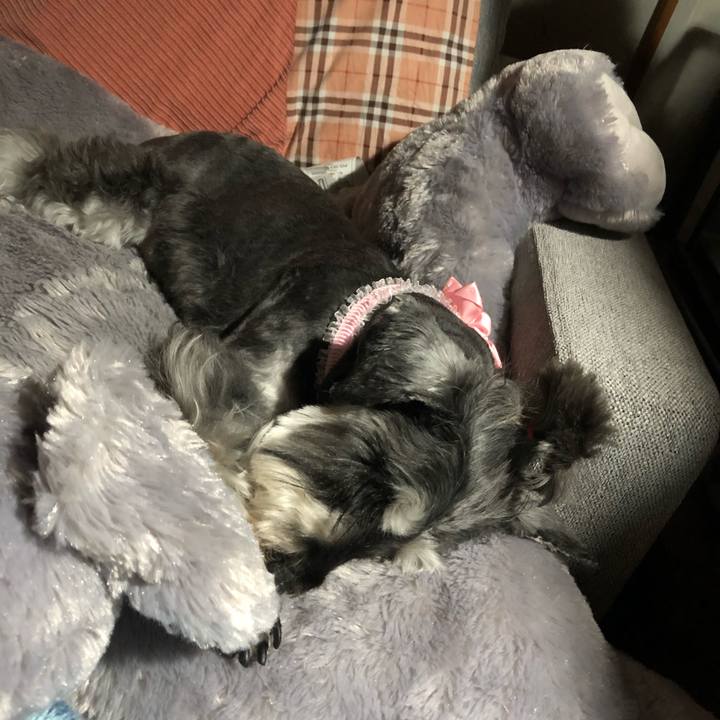 B588edb6 ecca 48e1 b84e 181d8273356c 1623846303343