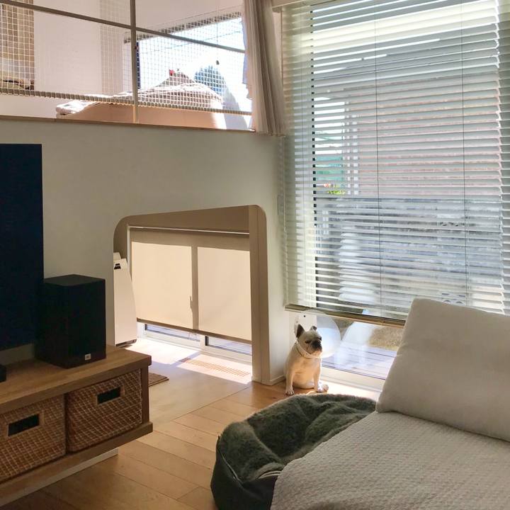 B588f174 0e84 42b9 a563 dda3c9c36301 1610072893094