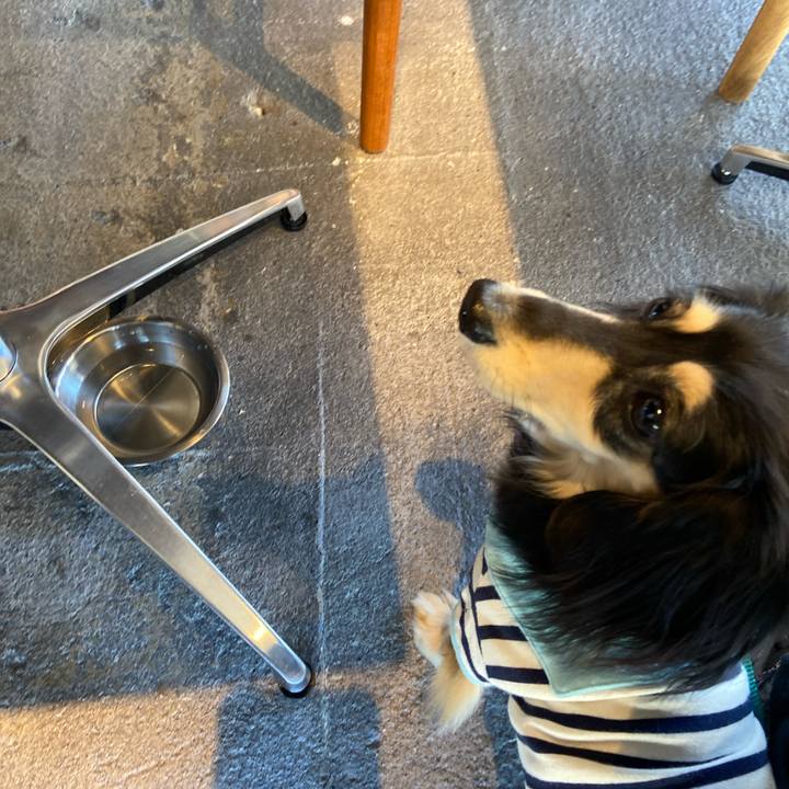 B588f5bb 6031 4cac b004 ccd023c347ed 1712713575695