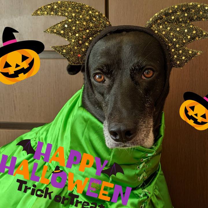 B5890fee 781c 43af 8972 fc012d986def 1698750902200