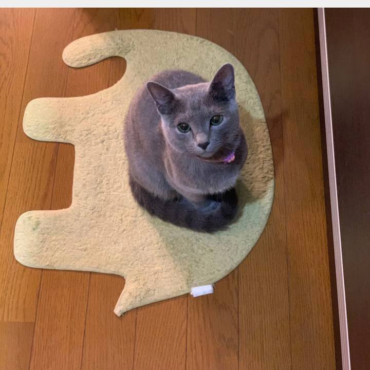 B5890ff9 012b 401b 9e3e a44f8b21f730 1701056261404