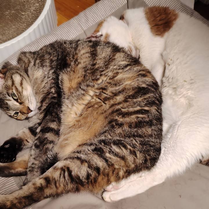 B5891142 1232 4101 b763 2c6cb80bb54f 1763988698948