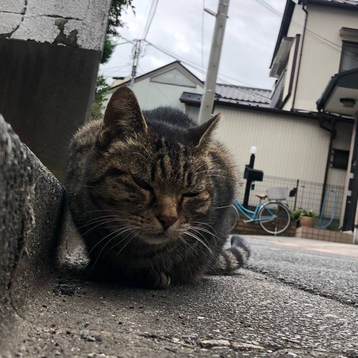 B589335c 9480 4c90 91f4 fd79b8c8b2b5 1580740533069