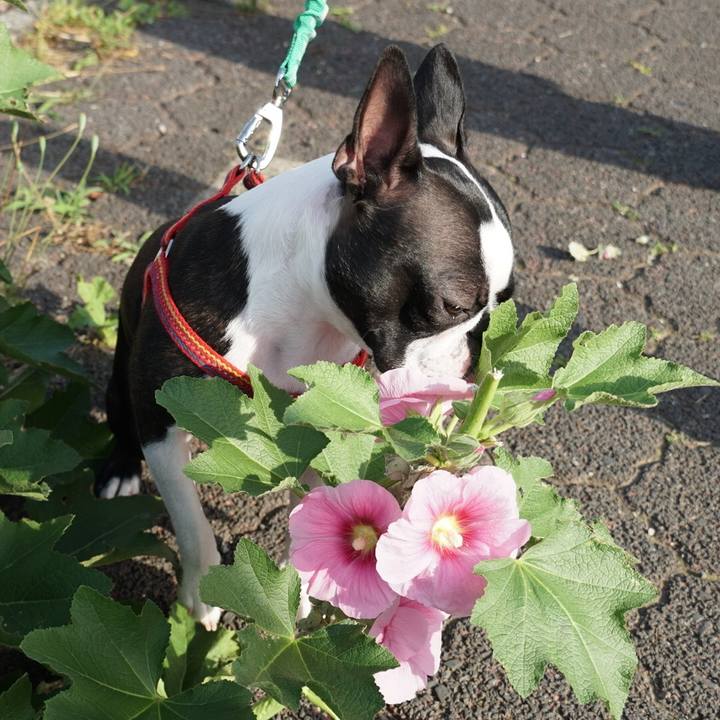 B58950af 6018 4c48 951c b993ad866941 1527466018503