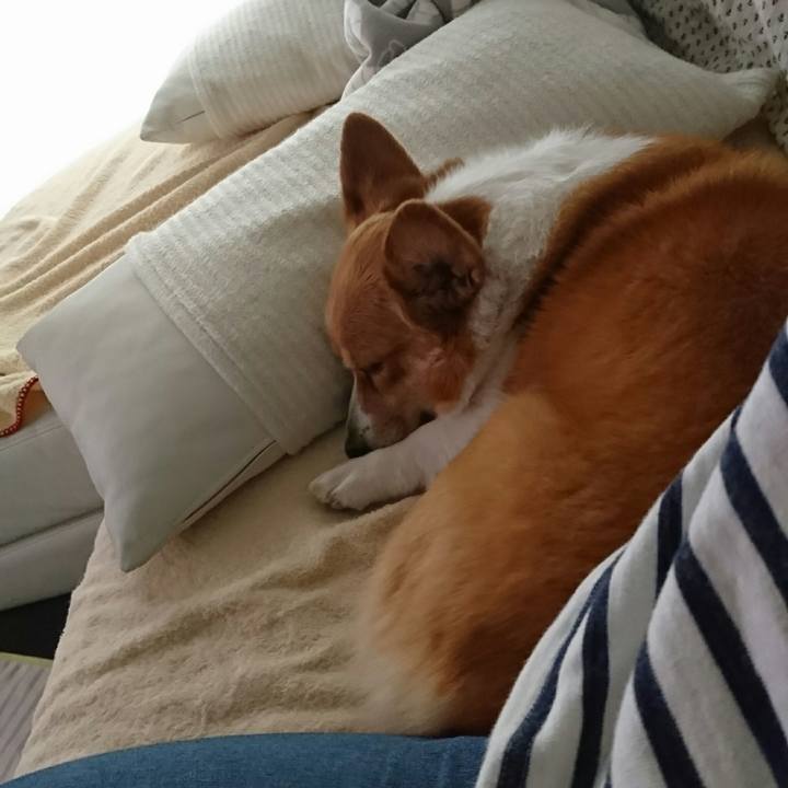 B5895b15 a7ba 4167 8778 cbfc079a600c 1521703617517