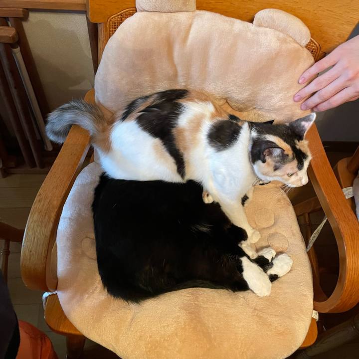 B589ad42 9409 4d42 b476 88532c3281d5 1678681929259