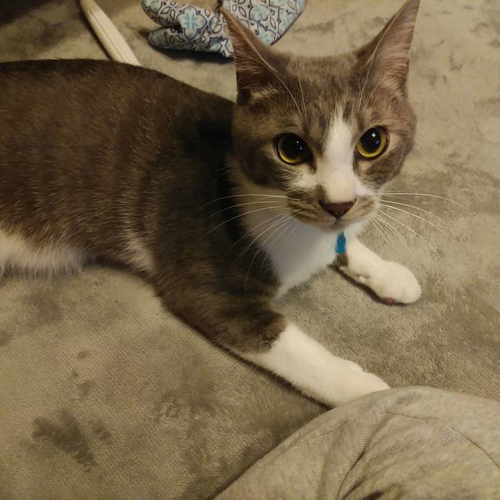 B589b039 a4c9 4560 9a3d 670f364b332d 1590671728823