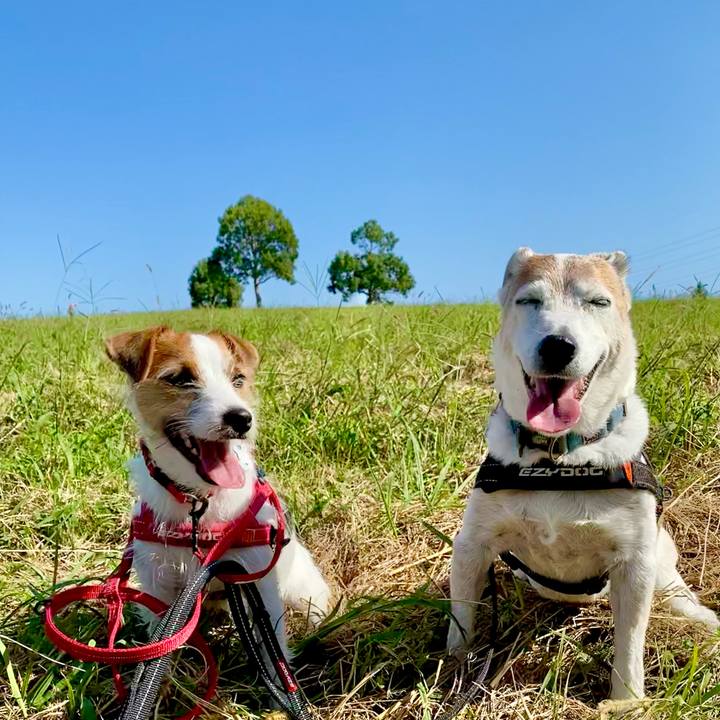 B589b350 05c8 4d60 a147 353989a40d42 1633242457897