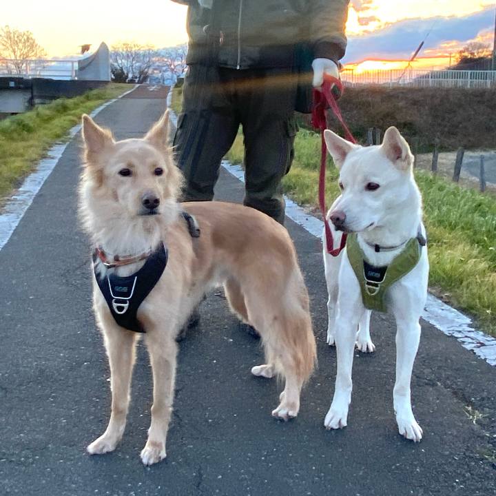 B589b8d3 d8e0 401e 8e8d 2b6c2e24a491 1767350158735