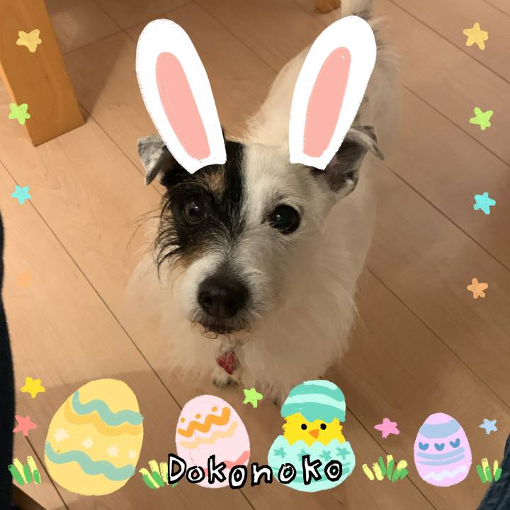 B589deb4 9d86 4c4a 9d64 bf745ab89eee 1712207005259