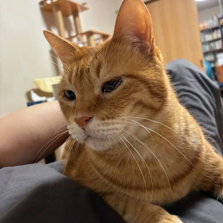 B589f28c 7928 4f1f 9858 8bc2731dbf5d 1748521634035