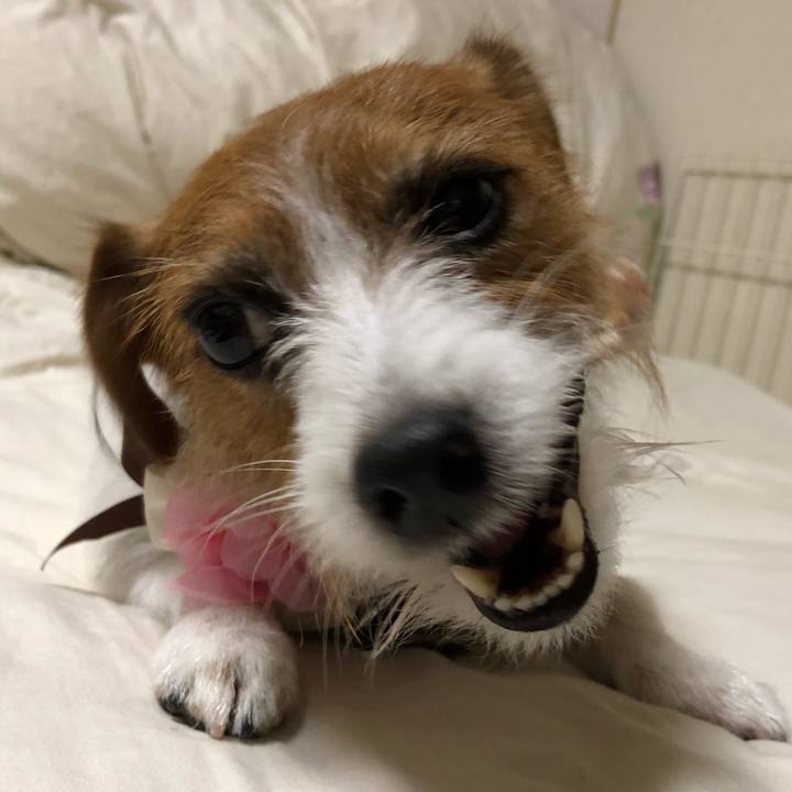 B589f9a0 40d4 47a7 acb3 deb56cf88903 1542541177446